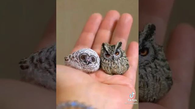 Картины на камнях смотреть онлайн