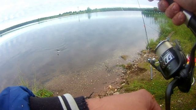 Эксперимент! Лещ на САЛО! Ловля на донки Крокодил смотреть онлайн