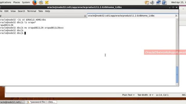Simplified DBA-024-Password file смотреть онлайн