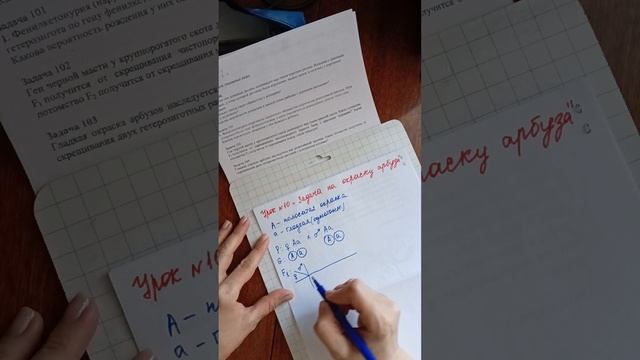 Урок 10 "Гладкий или полосатый арбуз?❓Как решить задачу?" смотреть онлайн