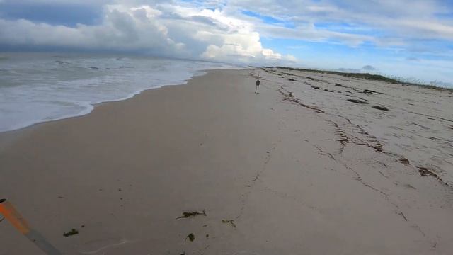 Penn Squall II 15SD Surf Fishing Test Plus one of the Craziest Catch and Release смотреть онлайн