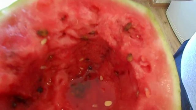 Арбуз можно кушать ложкой смотреть онлайн