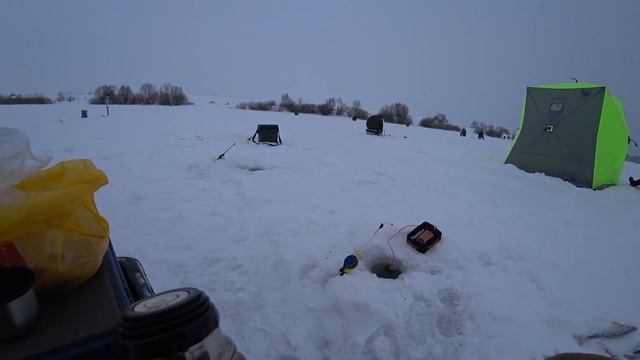 Вот это я понимаю клёв! ЛОВЛЯ ЧЕХОНИ СО ЛЬДА ! Рыбалка на Оке 2022! смотреть онлайн