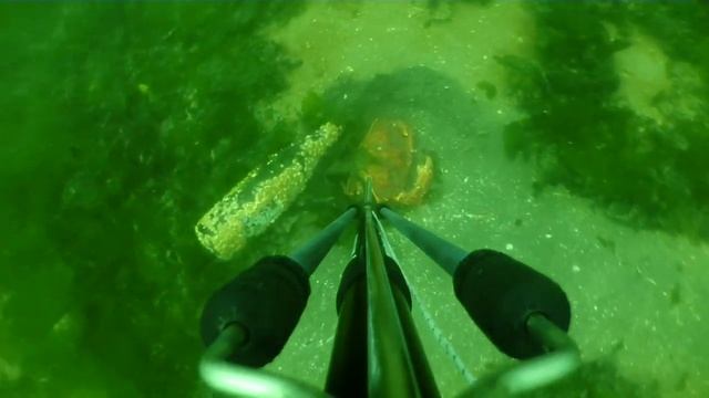 Подводная охота в Канаде, Британская Колумбия. Spearfishing in Canada, British Columbia. смотреть онлайн