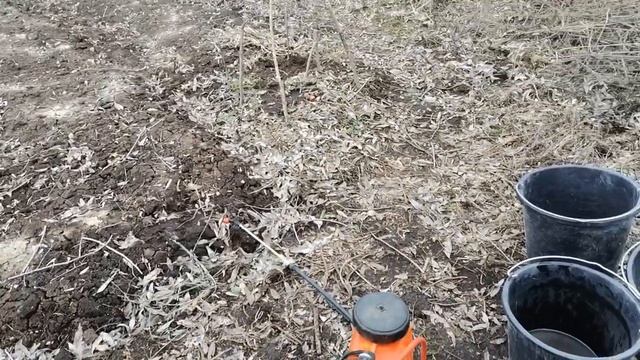 Гербицид для чеснока, лука, моркови, укропа и других культур. Галиган аналог Гоал смотреть онлайн