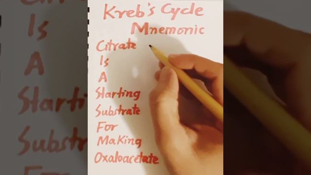 Citric Acid (Kreb's) Cycle steps Mnemonic | Biochemistry Mnemonic смотреть онлайн