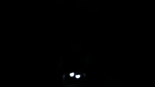 ?Песня про зайцев и два ведра..? Ведра с водой лью их на голову смотреть онлайн
