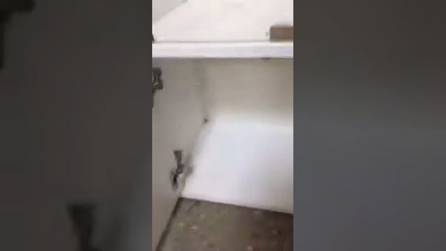 Стеллаж стеклянный, выставочный смотреть онлайн