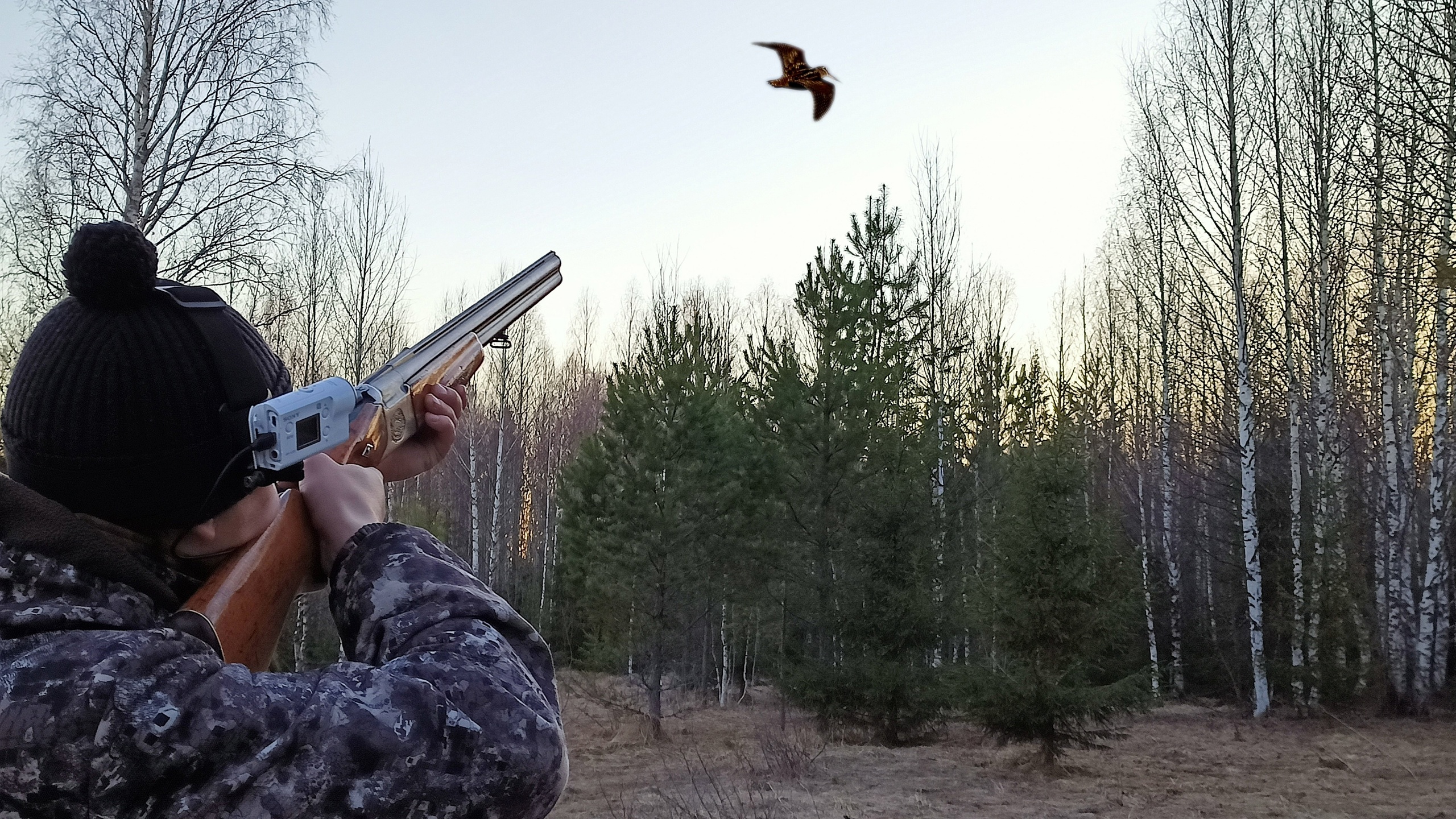 ВАЛЬДШНЕПЫ ЛЕТЯТ СО ВСЕХ СТОРОН! Весенняя охота на тяге! смотреть онлайн