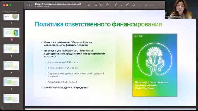 Вебинар «Стратегии устойчивого развития Российских регионов» смотреть онлайн