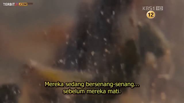 Film Drama Korea Terbaik Bikin Baper Sedih dan bahagia смотреть онлайн