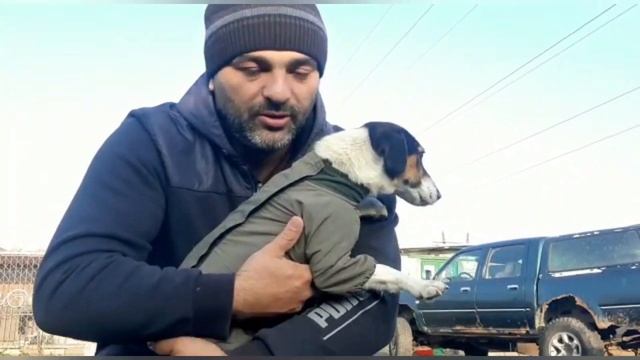 Щенки подобранные на улице продолжают борьбу за жизнь/Простерилизовали спасённую собачку Найду смотреть онлайн