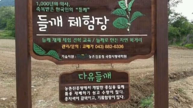 60% омега-3. Масло семян периллы холодного отжима. Заказать. смотреть онлайн