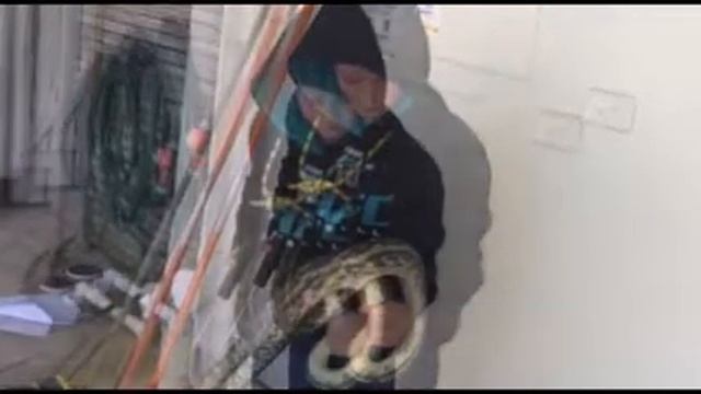 Amazing moment Reptile loving boy rescues an injured 2.5 METRE python смотреть онлайн