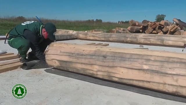 Сибирь Лесопродукт смотреть онлайн