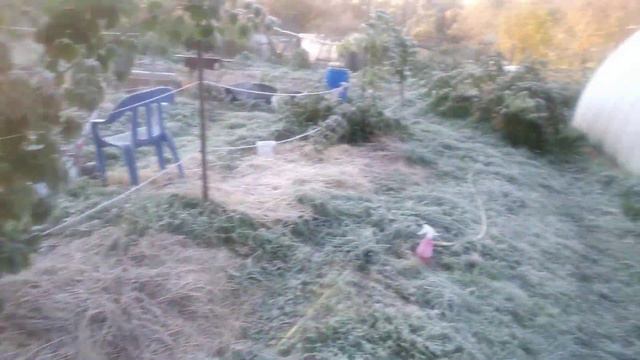 ежевика,морозное утро 7 октября смотреть онлайн