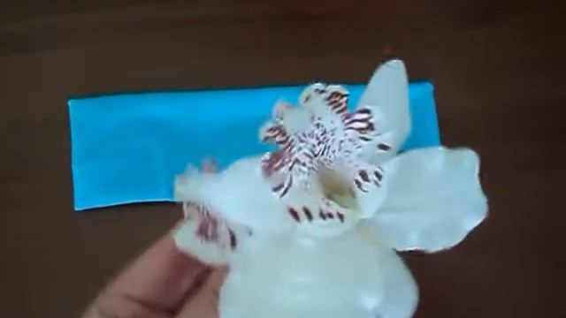 AliExpress Повязка для волос, цветок орхидеи для волос смотреть онлайн