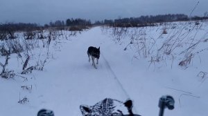 Установил ветровое стекло и не пожалел об этом! Букс "Тофалар-500 Толкач