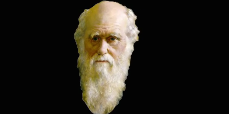 Natural World Project. Evolution.mp4 смотреть онлайн