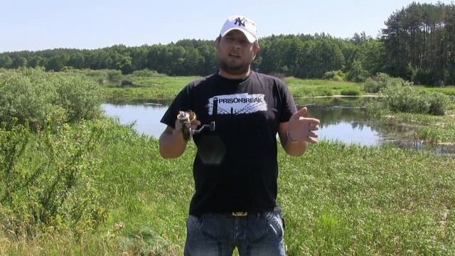 Катушка Риоби Экусима (RYOBI Ecusima) 3000 Vi (fishing Box)