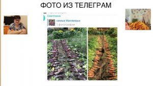 Лайфхаки для сада и огорода