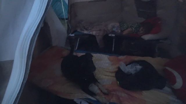 НОЧУЕМ С ПАЛАТКАМИ И СКЛАДЫВАЕМ металл С АЭРОДРОМА !!! смотреть онлайн