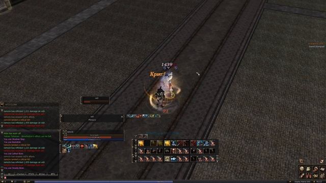 Lineage 2 Classic / Treasure Hunter / loms1k / Valhalla GVE / Someday you will be a hero смотреть онлайн
