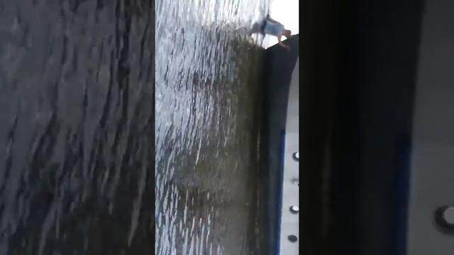 толкаем катер день ВДВ химки смотреть онлайн
