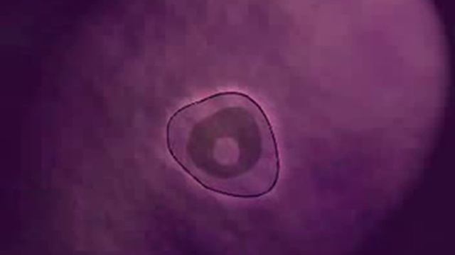 Делай То, Что Вдохновляет Других