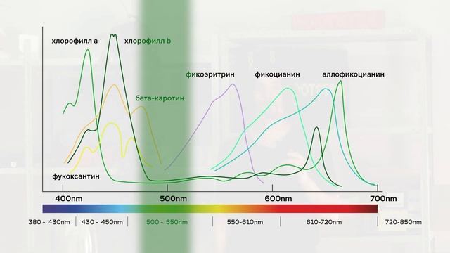 Разница ДНаЗ и LED светильников смотреть онлайн