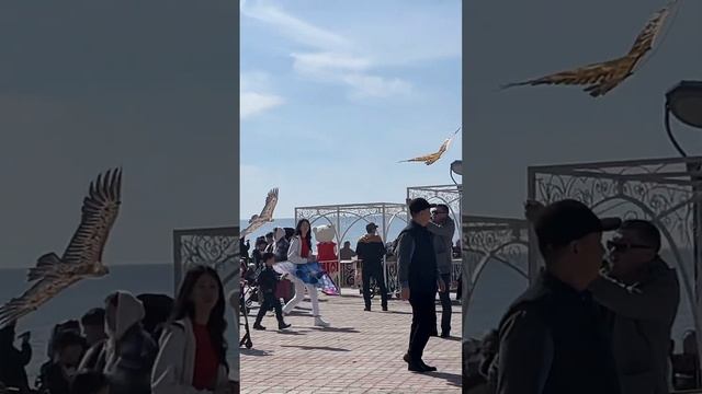 АҚТАУҒА САЯХАТ смотреть онлайн