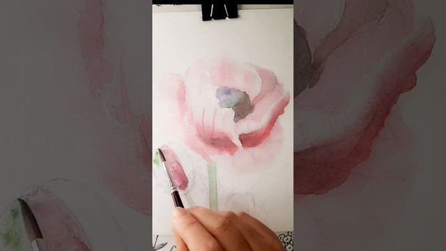 Учусь рисовать #акварель #белыеночи #ботаника смотреть онлайн