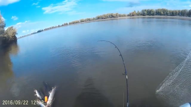 ЩУКА. Рыбалка на иртыше. Омская область смотреть онлайн