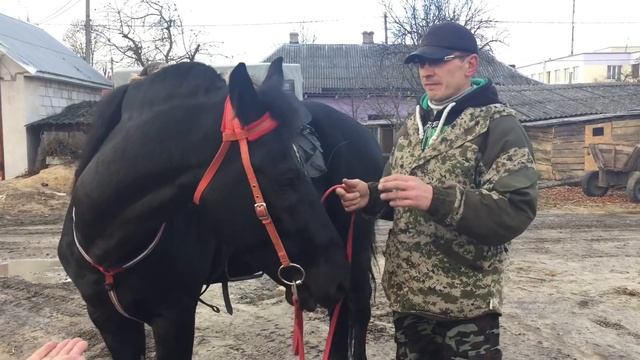 Дрогичин всадник ездит по городу смотреть онлайн