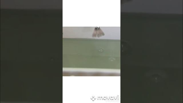 Эбру-рисование на воде. смотреть онлайн