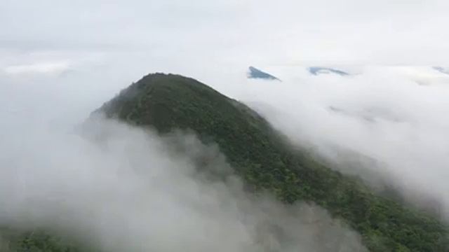 музыка релакс в год тигра. смотреть онлайн