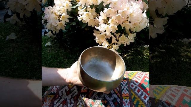 Старинная поющая Чаша Дельфин Overtone смотреть онлайн