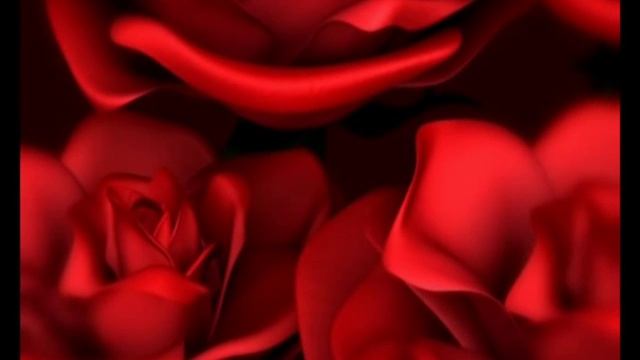 Valentine's Day rose,Flashing Lights Background ,animation,HD Motion Graphic смотреть онлайн