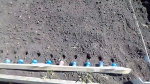 Приспособление для посадки моркови и т.п.