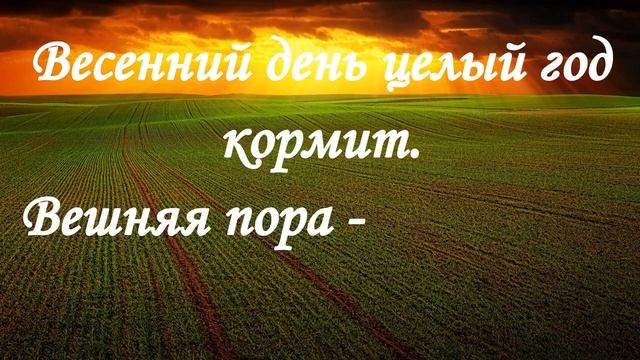 ВЕСНА: лучшие поговорки, пословицы, приметы смотреть онлайн