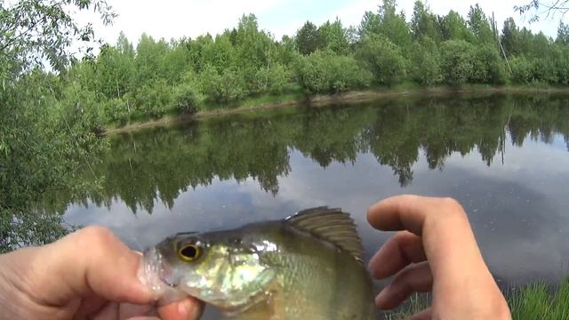 Чилю вдоль реки на перевес со спиннингами!!! Рыбалка на мормышку. Река Тагил. смотреть онлайн