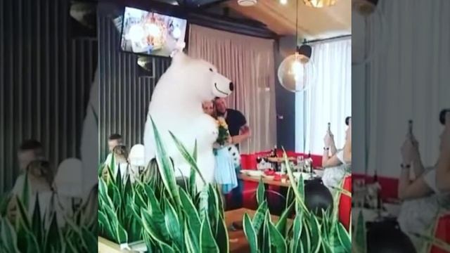 Самый крутой медведь Вологда 89211226411 смотреть онлайн