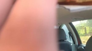 Як снять антенну на Шкода фабия