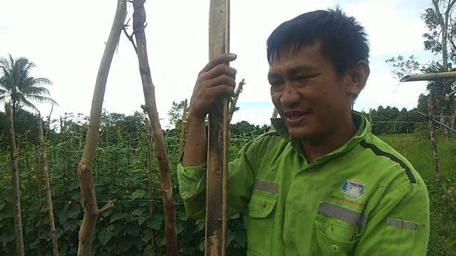 SANA SINI MERANTAU KINI MENETAP DI KALIMANTAN DENGAN BERTANI DAN SEKARANG BISA BELI KENDARAN DAN... смотреть онлайн