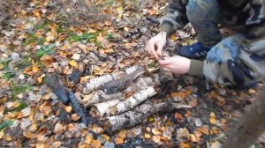 Выживание!!!Расположение ночлега в лесу.