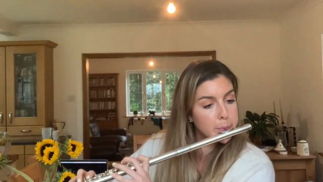 Bordel 1900 from Histoire du Tango, Astor Piazzolla | flute and harp смотреть онлайн