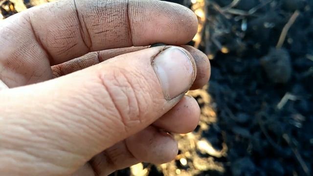 Дводенний коп. Коп на Тернопільщині Екстремальні умови, у ночі -2. Коп з Nokta makro multi kruzer. смотреть онлайн