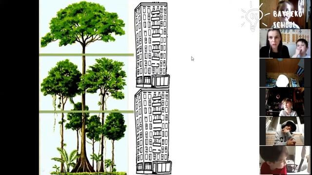 Африка. Пустыня и тропический лес смотреть онлайн