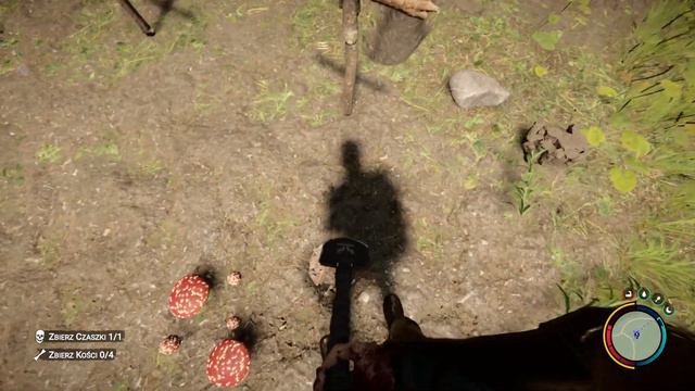 Sons Of The Forest PL #16 Opuszczona Wioska Tubylców | Virginia Dostała Prezent Na Dzień Kobiet!