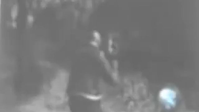 Resident Evil 4 Wii Through the Fire and Flames смотреть онлайн